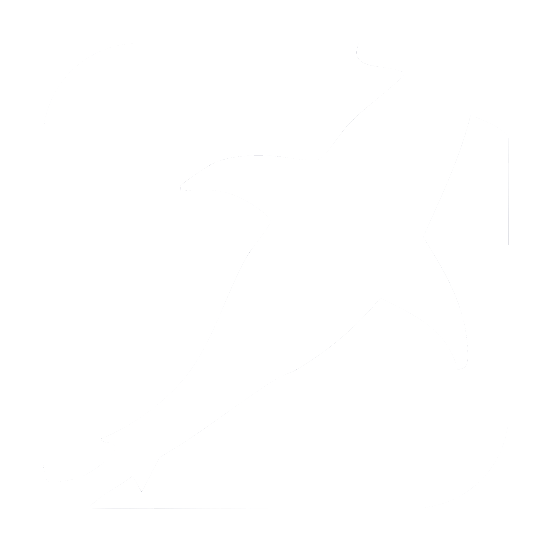 Fensivo Team, Equipo Fensivo